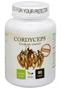 cordyceps.jpg
